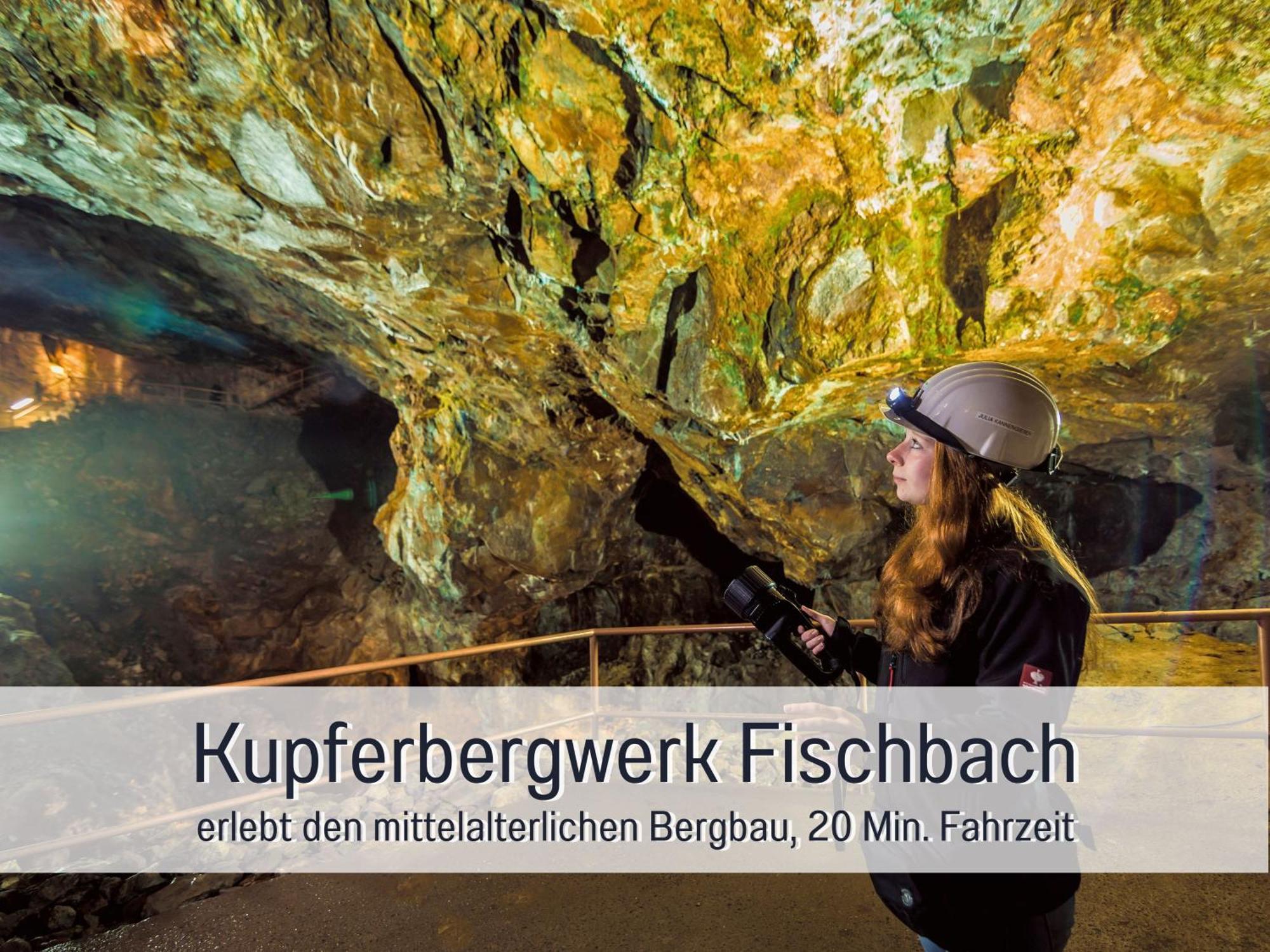 Natur-Chalet Zum Nationalpark Marie-Luise Inkl E-Auto Allenbach ภายนอก รูปภาพ