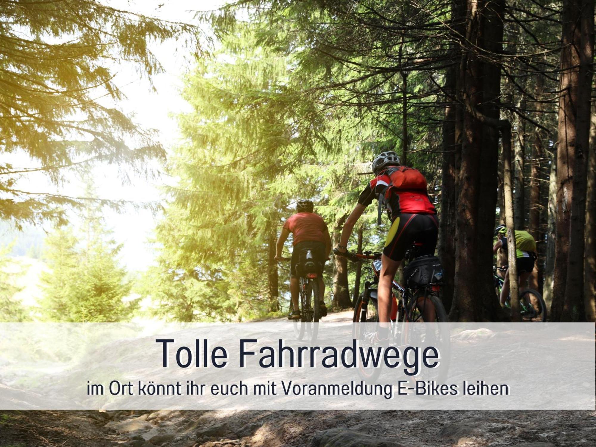 Natur-Chalet Zum Nationalpark Marie-Luise Inkl E-Auto Allenbach ภายนอก รูปภาพ