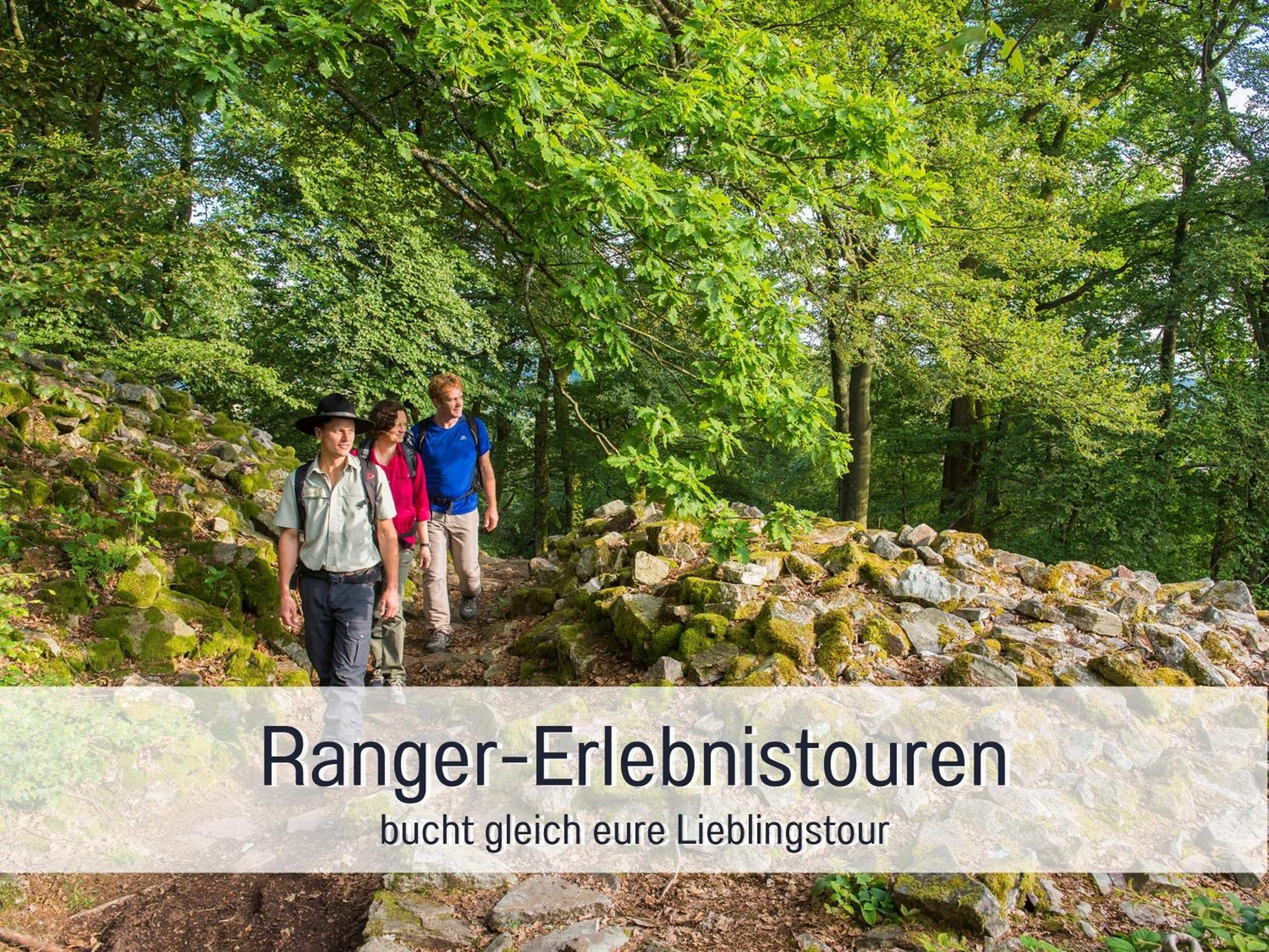 Natur-Chalet Zum Nationalpark Marie-Luise Inkl E-Auto Allenbach ภายนอก รูปภาพ