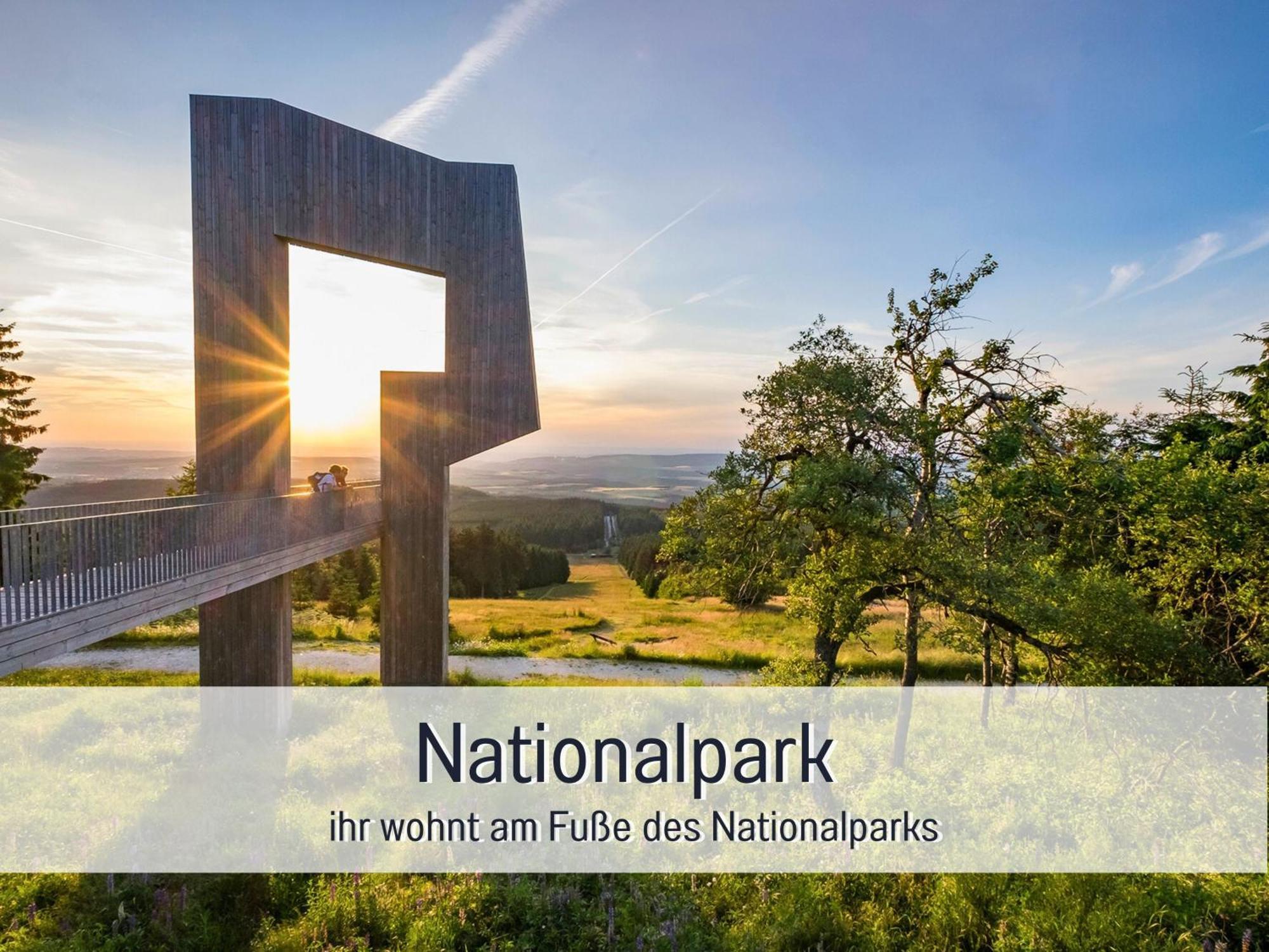 Natur-Chalet Zum Nationalpark Marie-Luise Inkl E-Auto Allenbach ภายนอก รูปภาพ